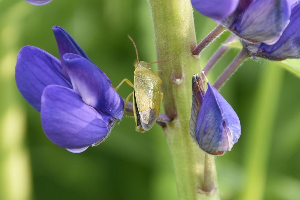 Photograph by Юлия Финогенова