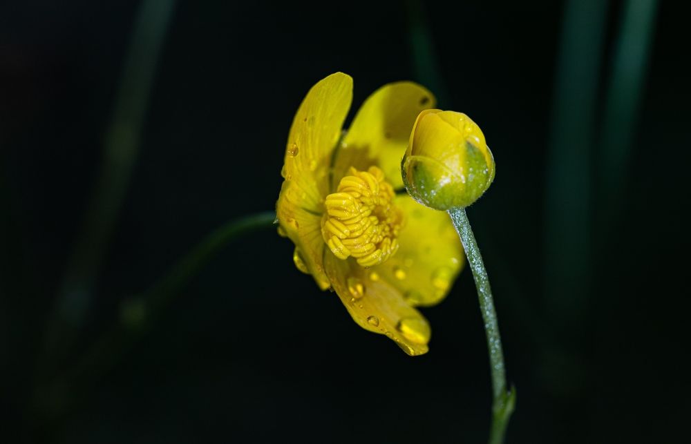 Фотография автора Ирина Гриценко
