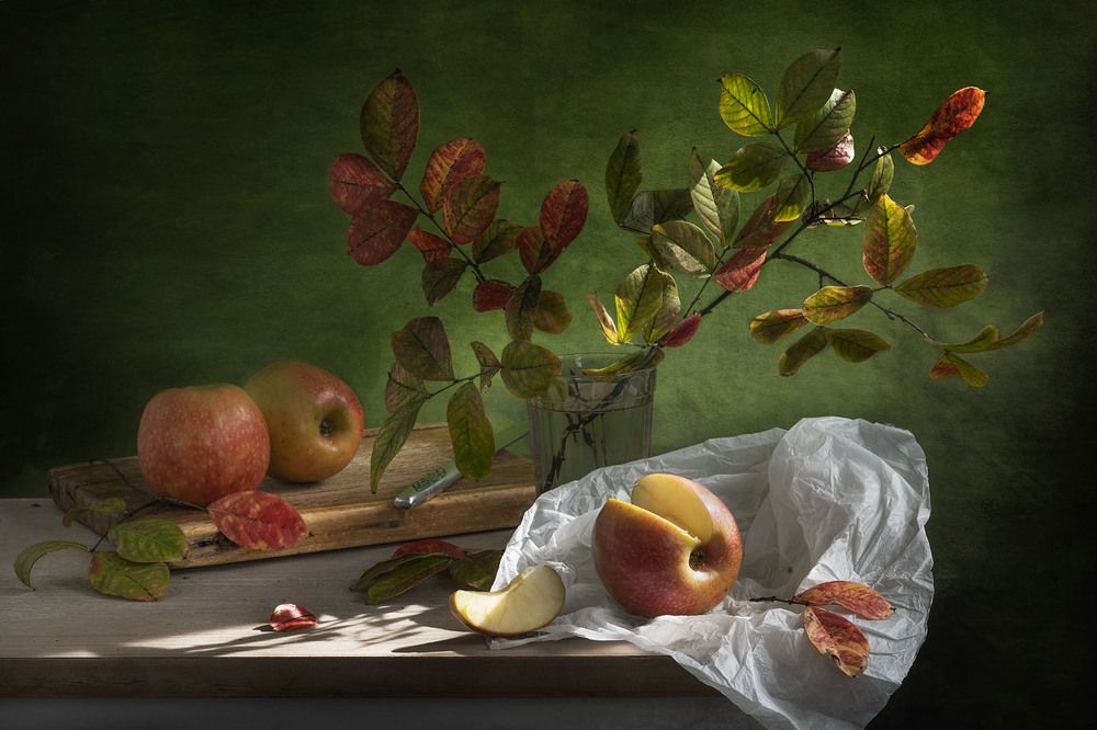 Photograph by Солодар Виктория