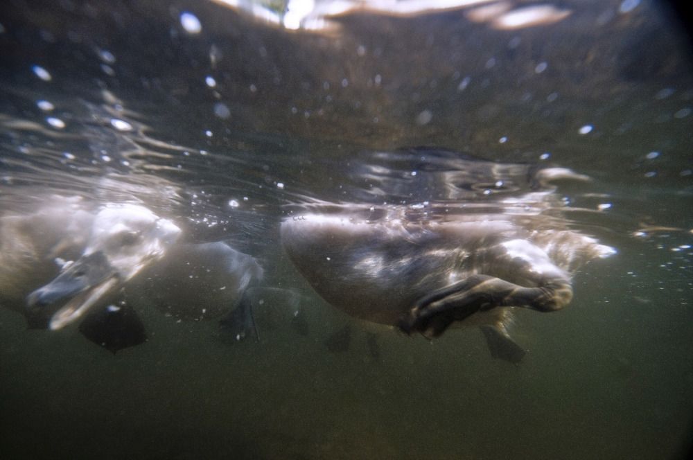 Photograph by Юрий Яковлев