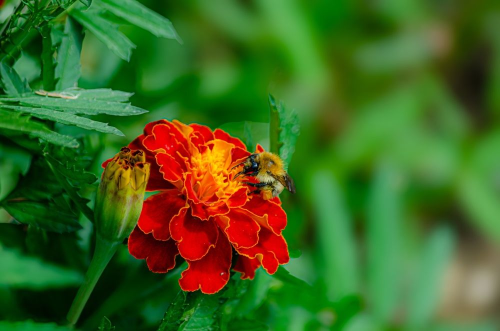 Photograph by Oksana Kuzmina