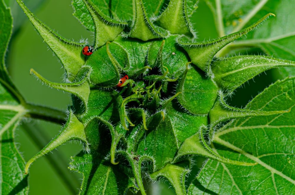 Photograph by Oksana Kuzmina