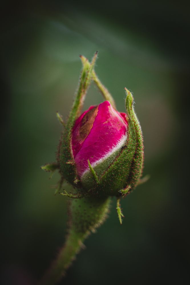 Photograph by Юлия Соболева