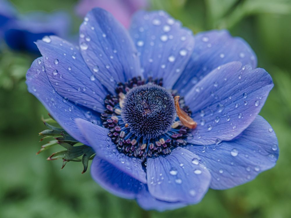 Photograph by Ирина Протченко