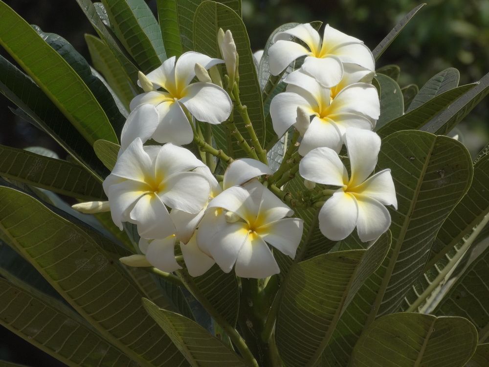 Photograph by Виктор Бута