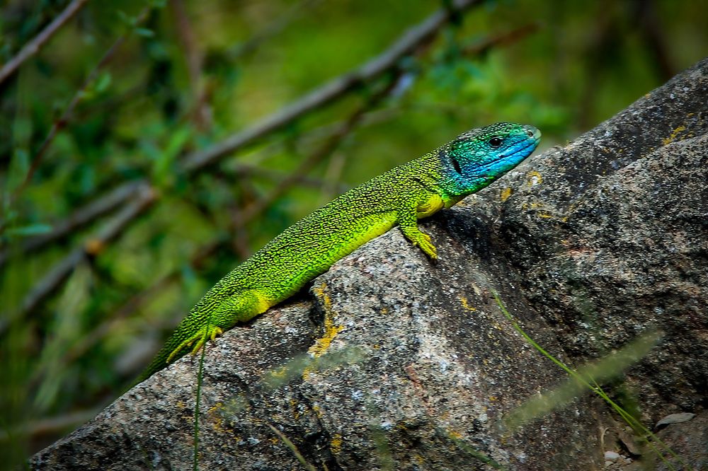 Photograph by Сергей Тельнюк