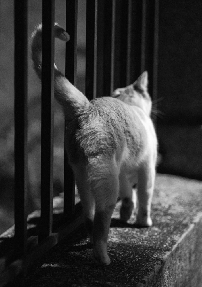 Photograph by Katherin Korovina