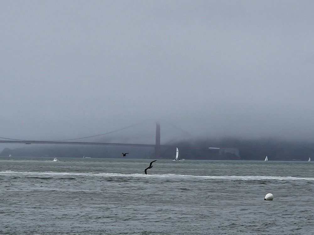 Photograph by Ирина Рудь