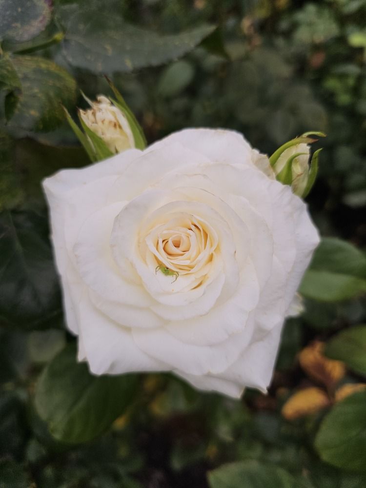 Фотография автора Александр Петуховский