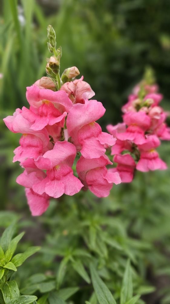 Фотография автора Александр Петуховский