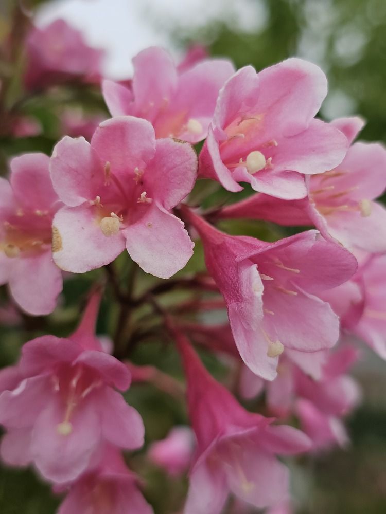 Фотография автора Александр Петуховский