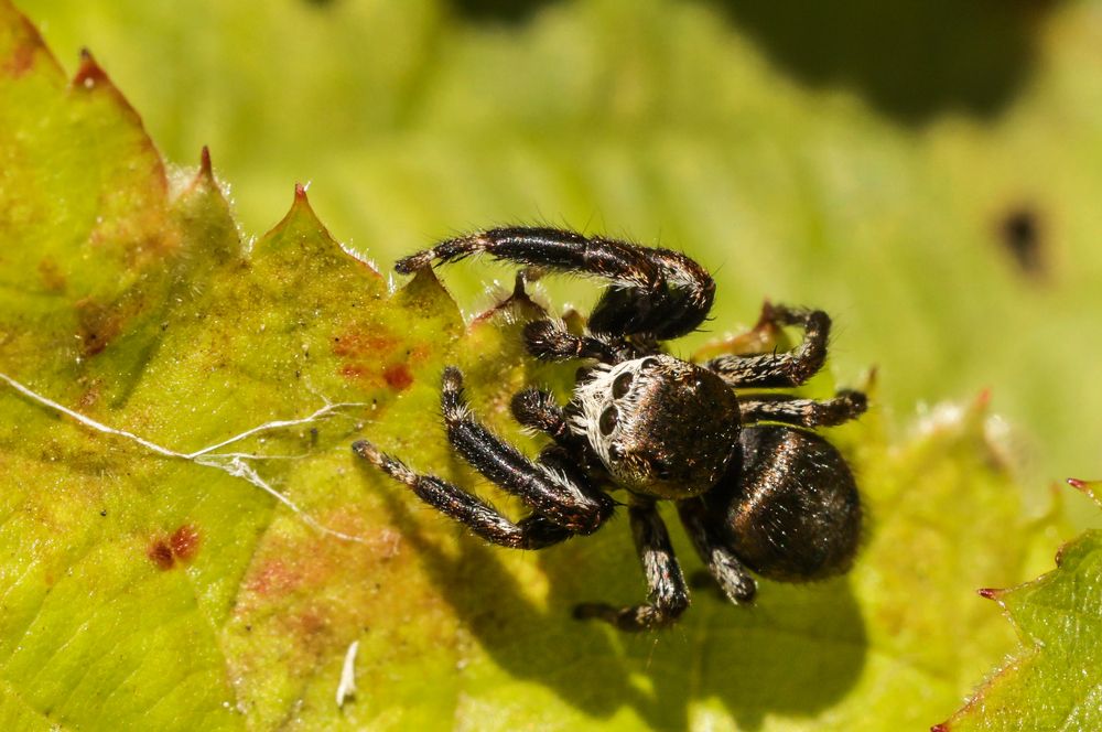 Photograph by Александр Есликов