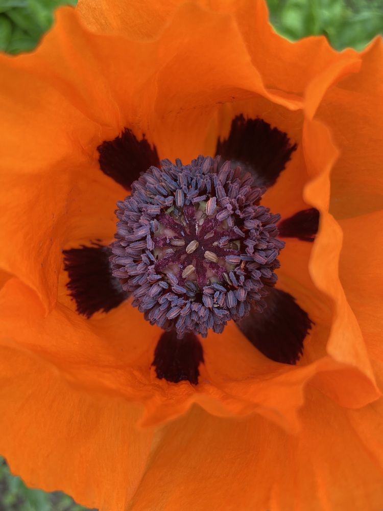 Фотография автора Екатерина Устинкина