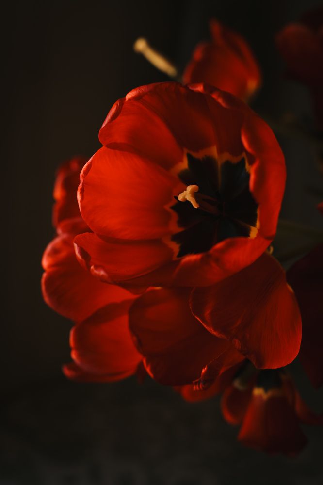 Фотография автора Екатерина Устинкина