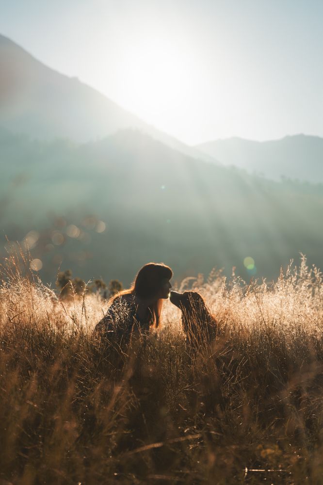 Photograph by Андрианова Ирина