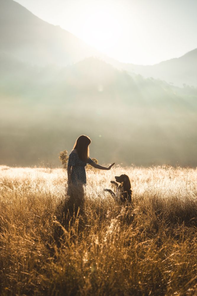 Photograph by Андрианова Ирина