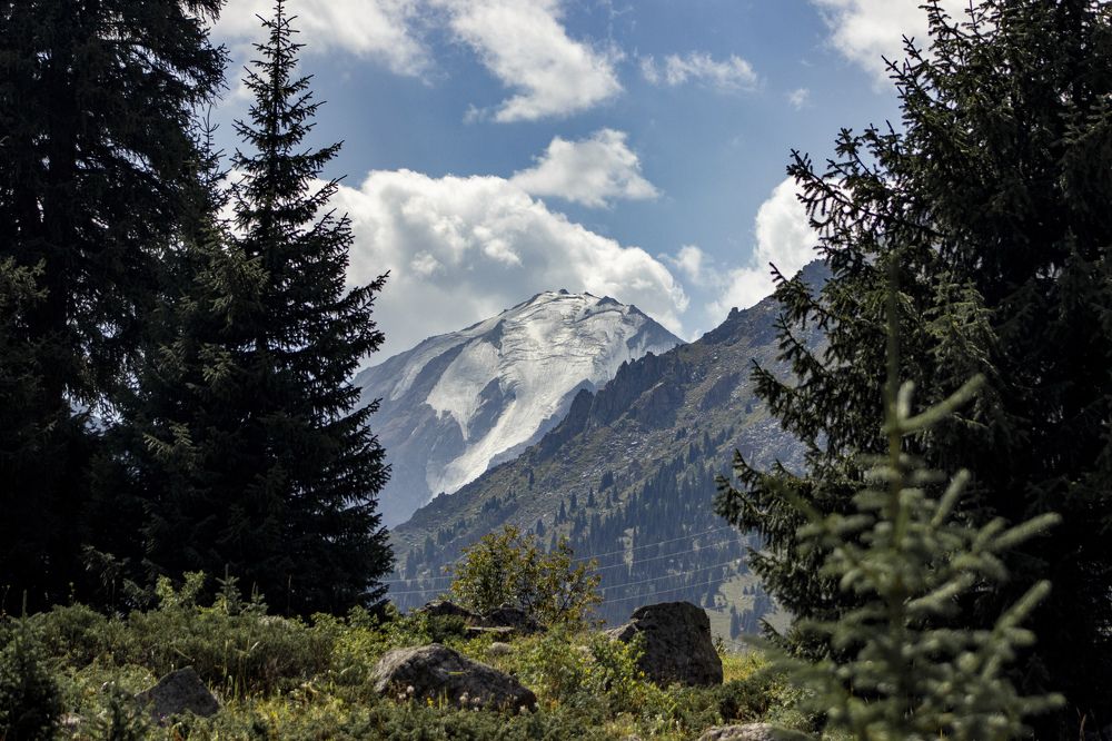 Photograph by Daniil Teryoshin