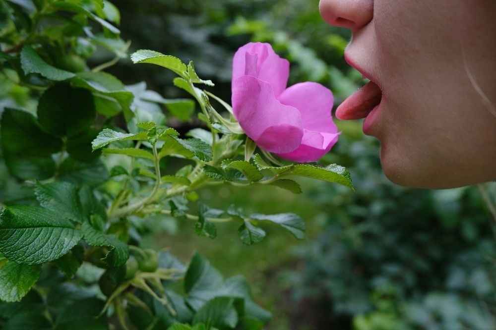 Фотография автора Александров Алексей
