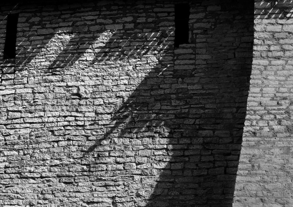 Photograph by София Стрыгина