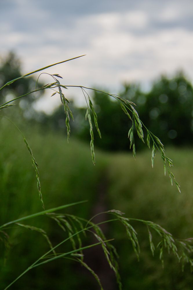 Photograph by Ирина Вепринцева