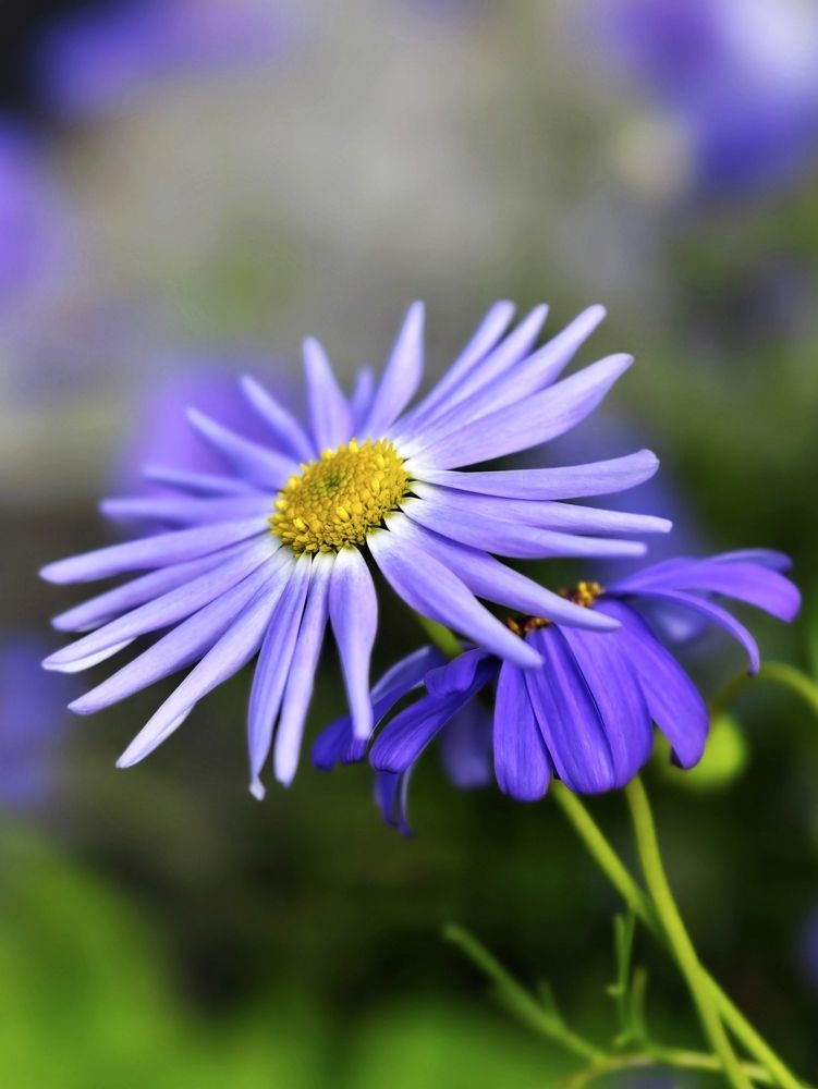 Photograph by Оксана Машкина