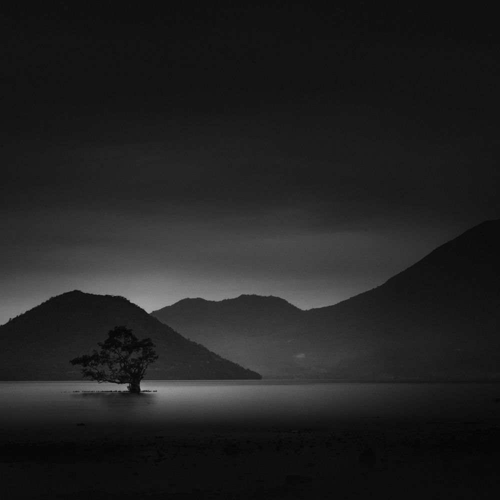 Photograph by zulkifly mukaram