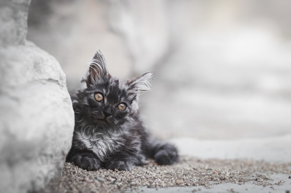 Photograph by GRISELDA FERNANDEZ