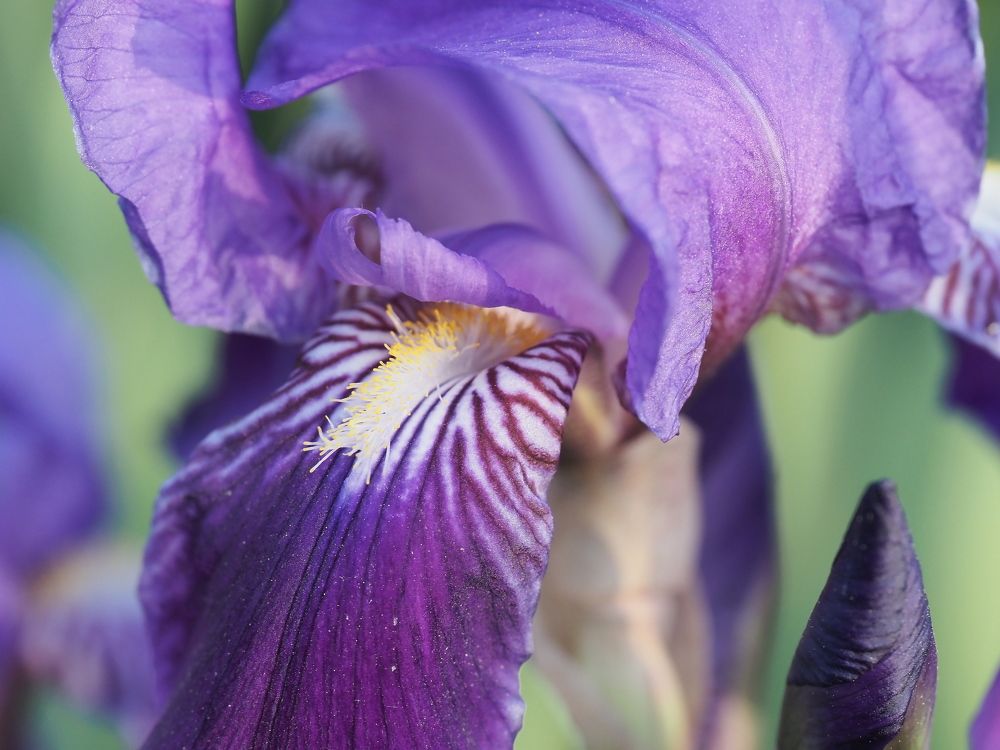 Photograph by Сергей Борисов