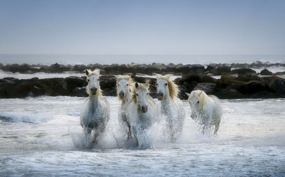 Photograph by Adrian Adi Gli