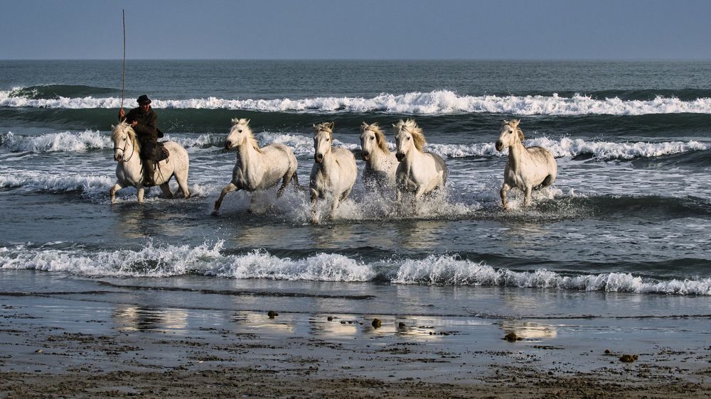 Photograph by Adrian Adi Gli