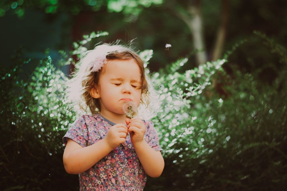 Фотография автора Anastasiia