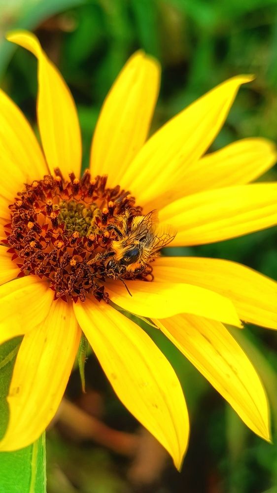 Photograph by Валентин Волк