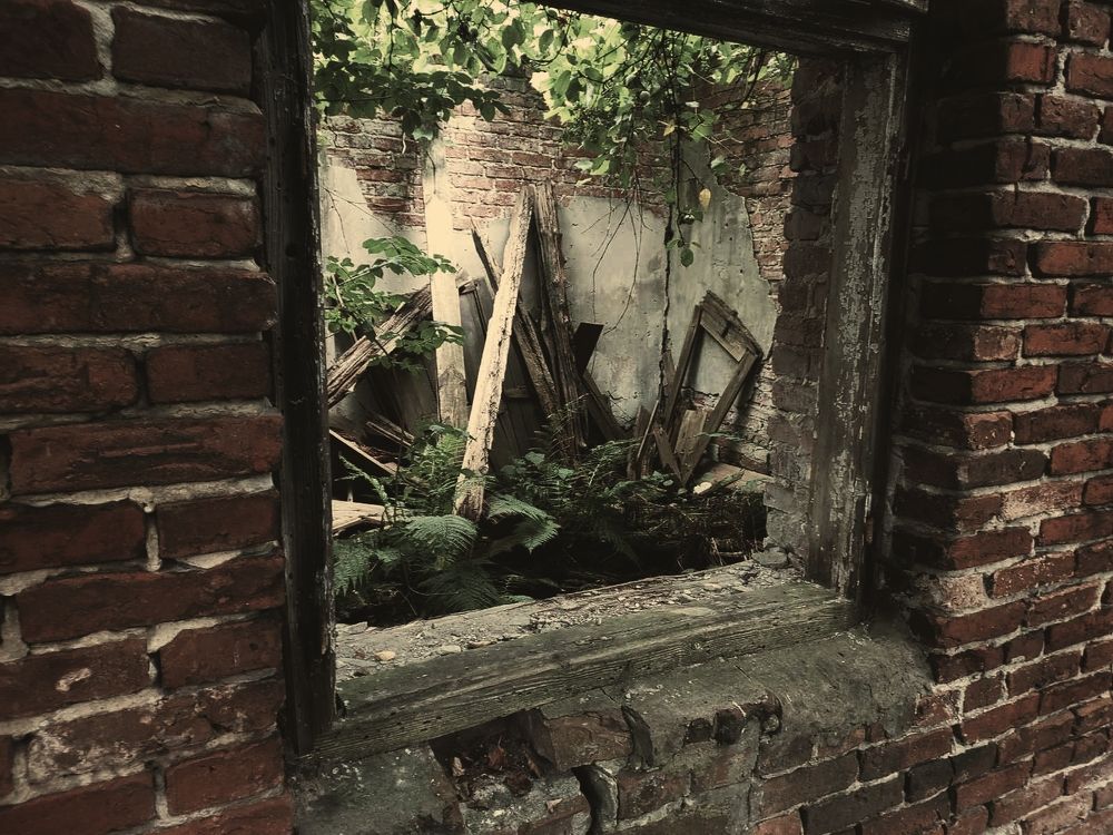 shadows of forgotten people