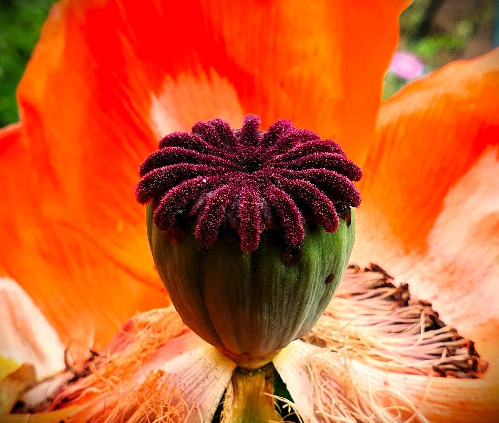 Photograph by Яна Галимуллина