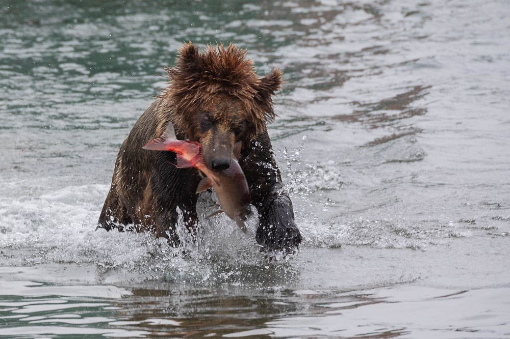 Photograph by Марина Маликова