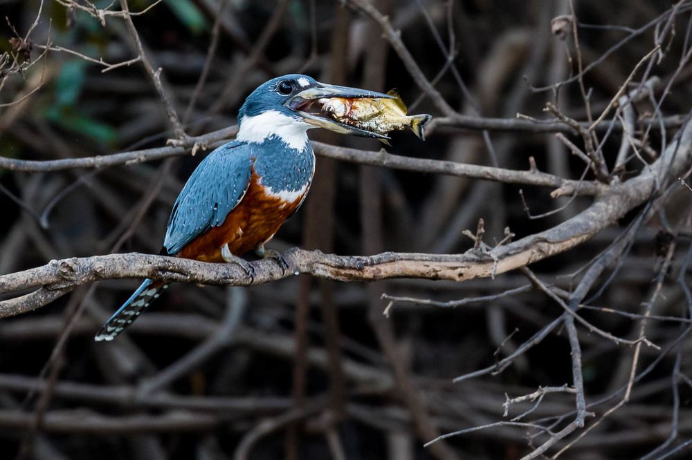 Photograph by Марина Маликова
