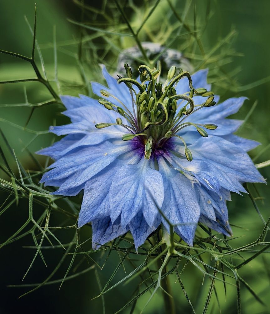 Photograph by Михаил Саидов