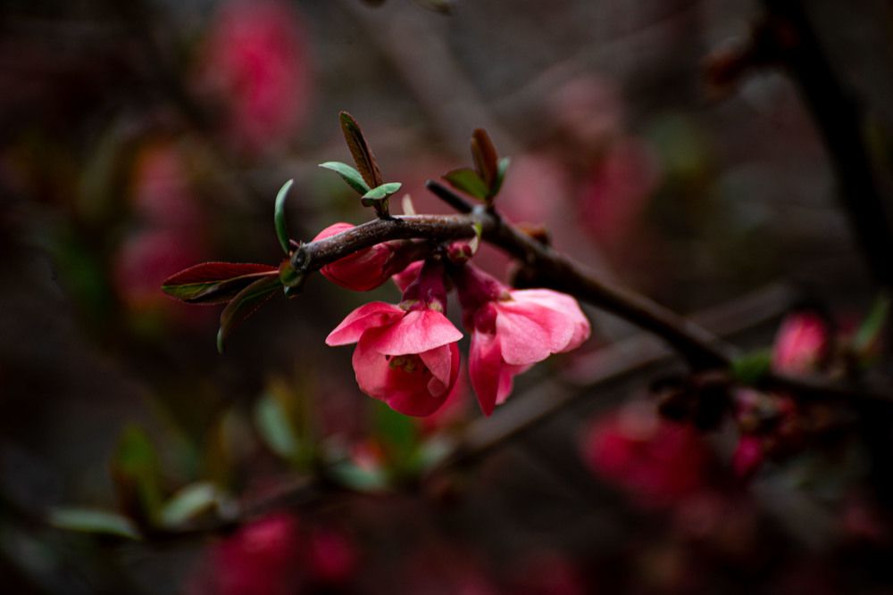 Фотография автора Мария Гомолко