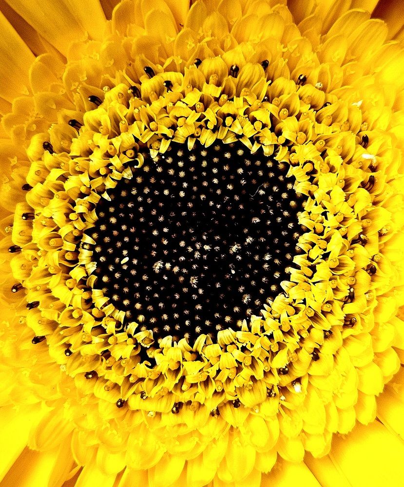 Photograph by Наталья Кириченко