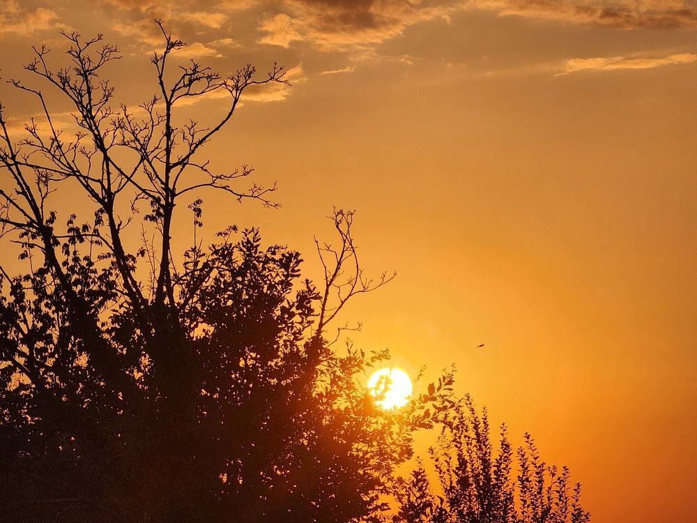 Фотография автора Александр Ахоньков