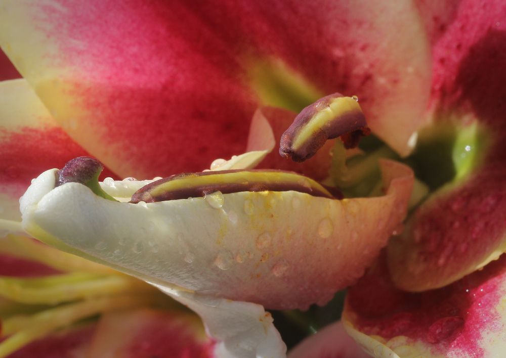 Photograph by Виталий Першин