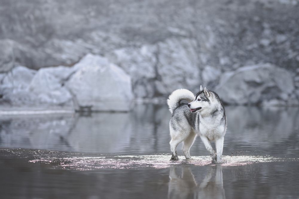 Photograph by GRISELDA FERNANDEZ