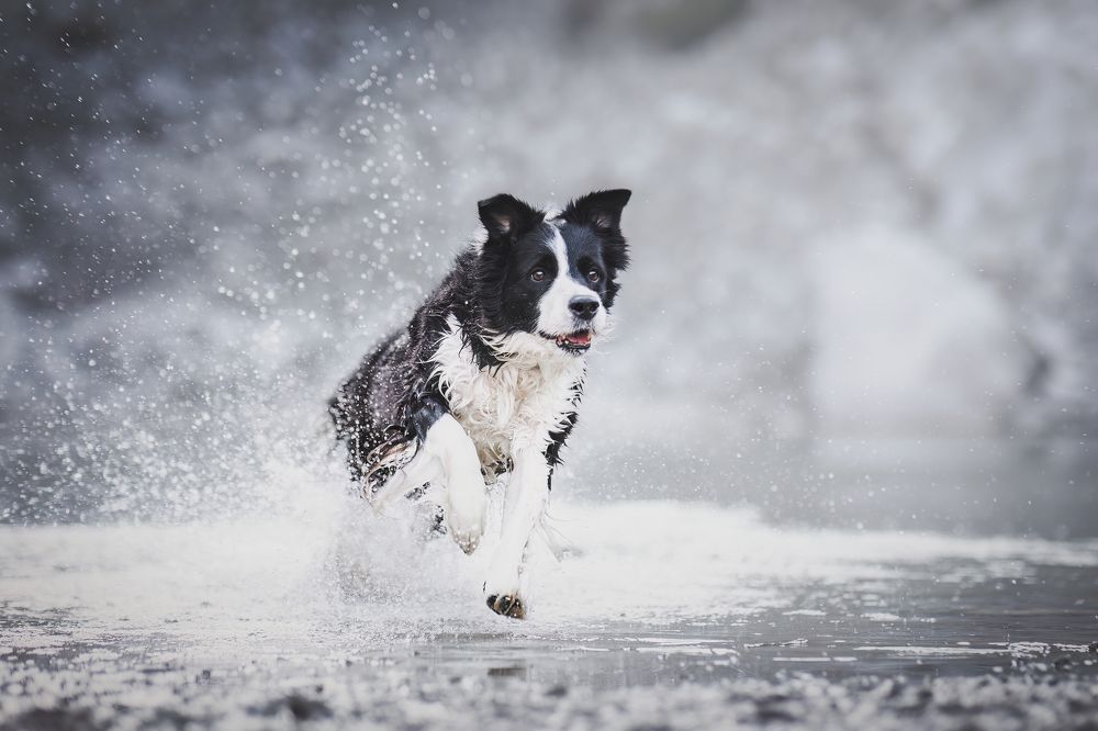 Photograph by GRISELDA FERNANDEZ