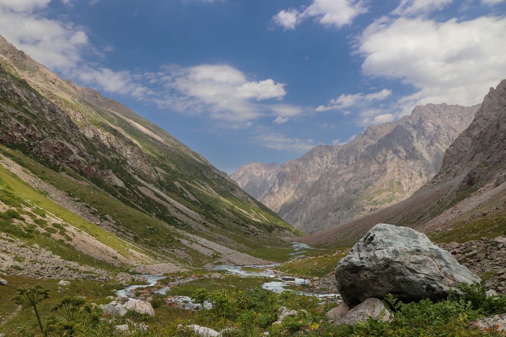 Фотография автора Анастасия Тараканова