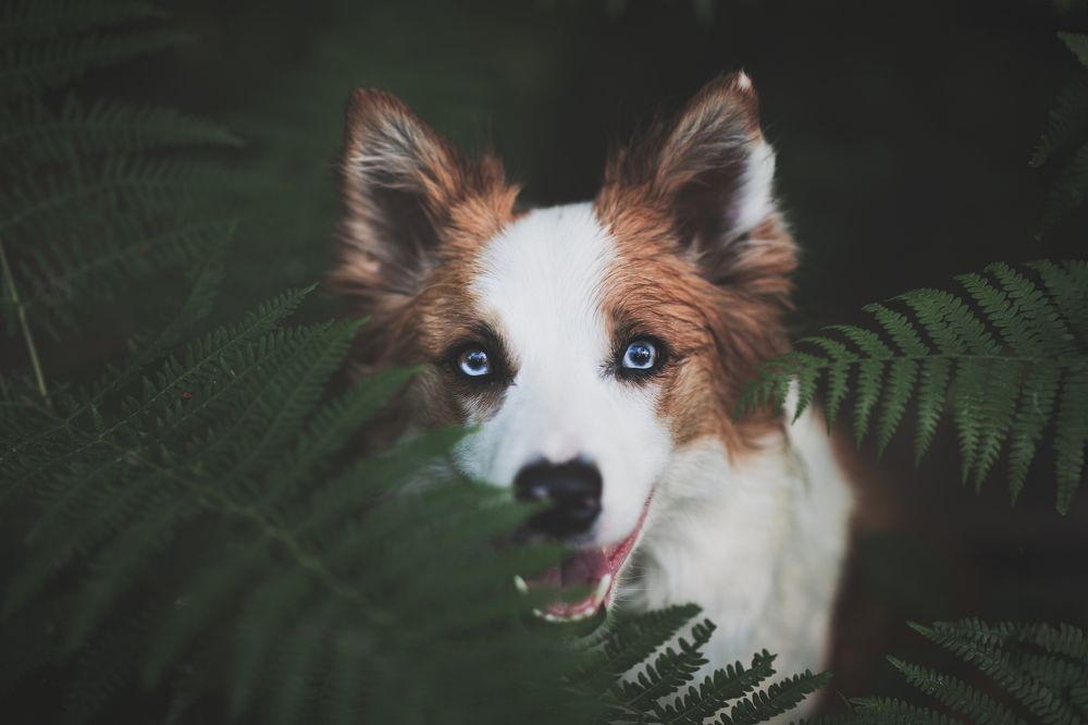 Photograph by GRISELDA FERNANDEZ