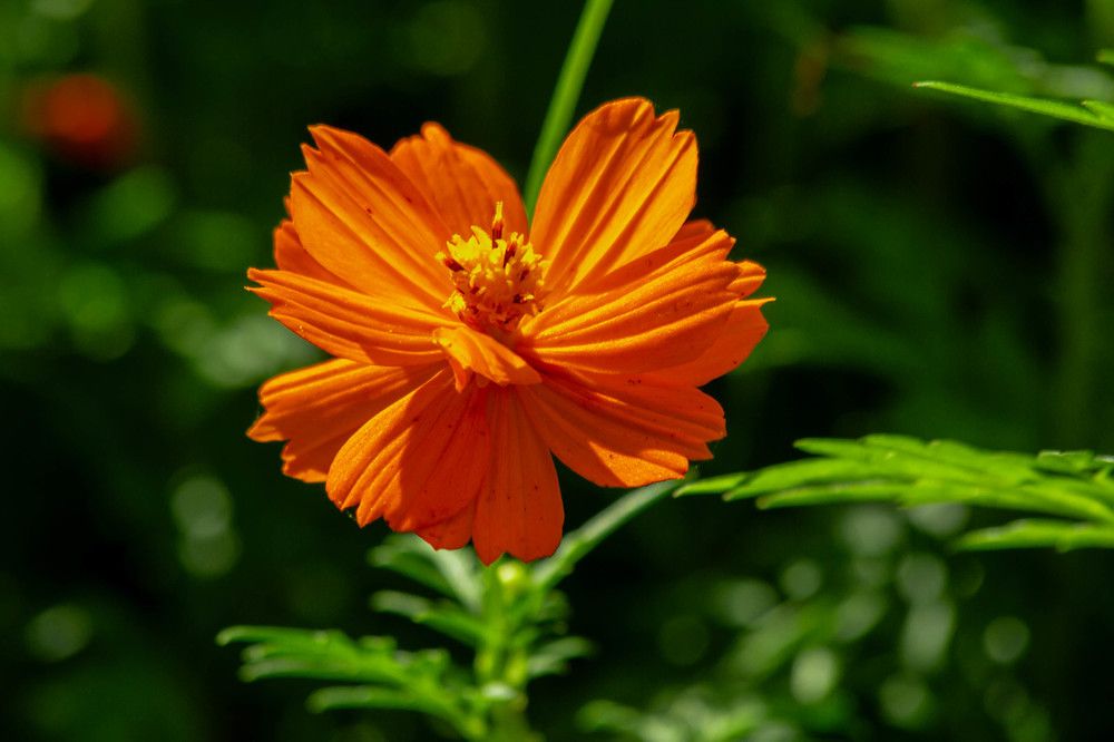 Photograph by Евгений Авдеев