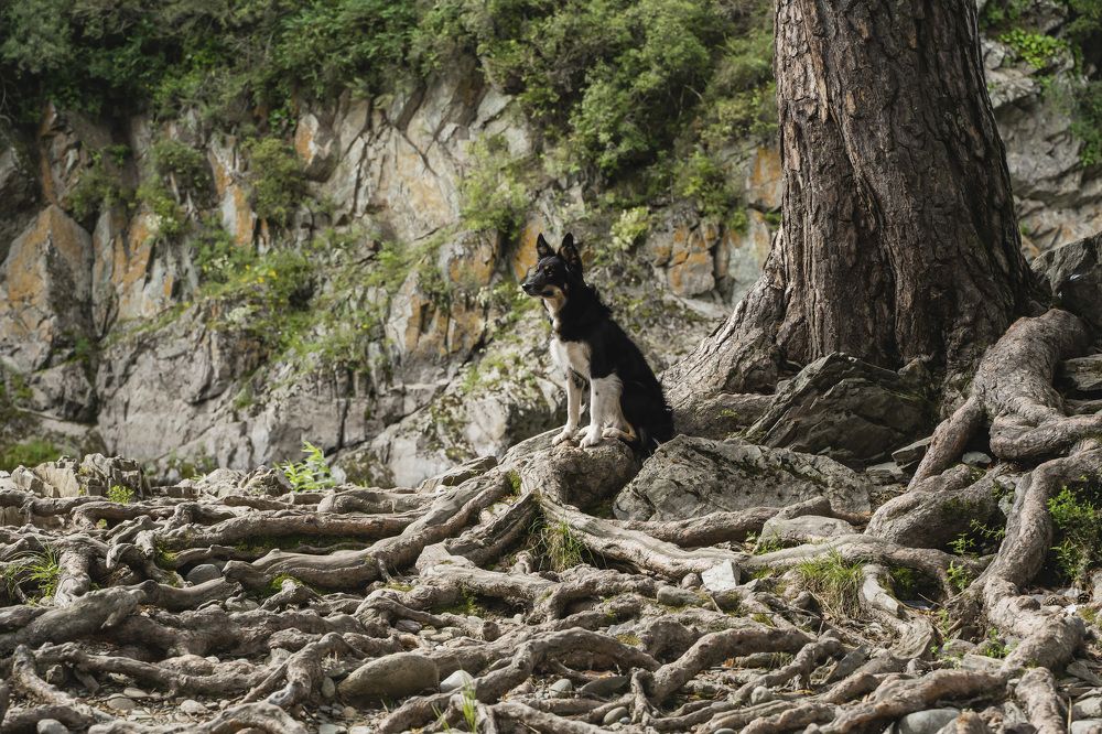 Фотография автора Юлия Бец