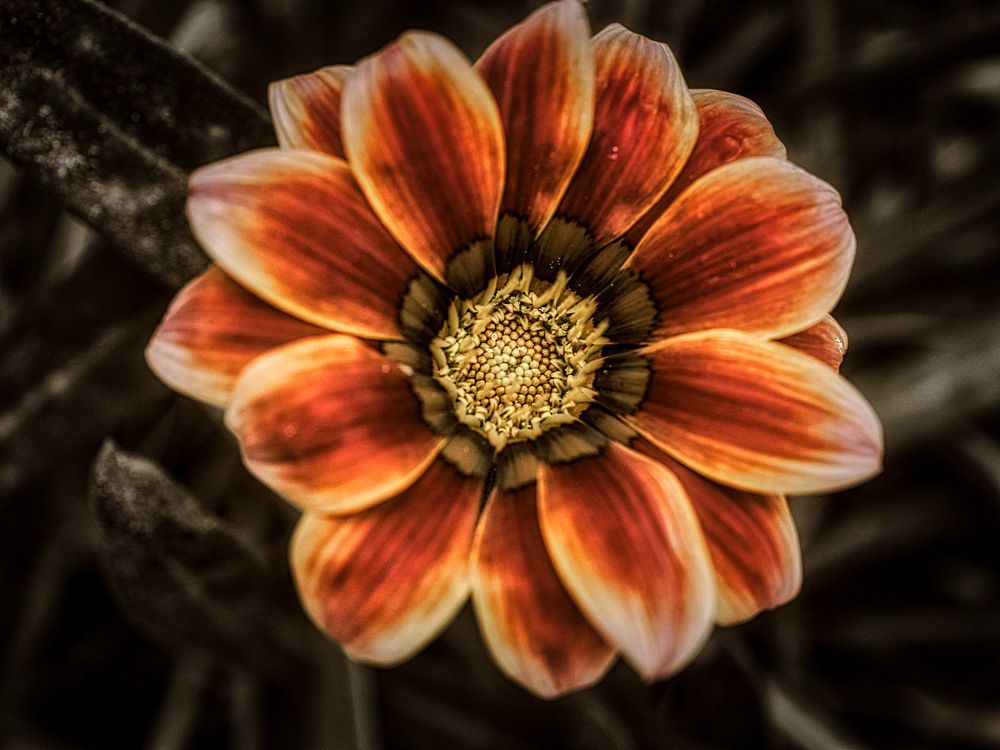 Фотография автора David Solodar