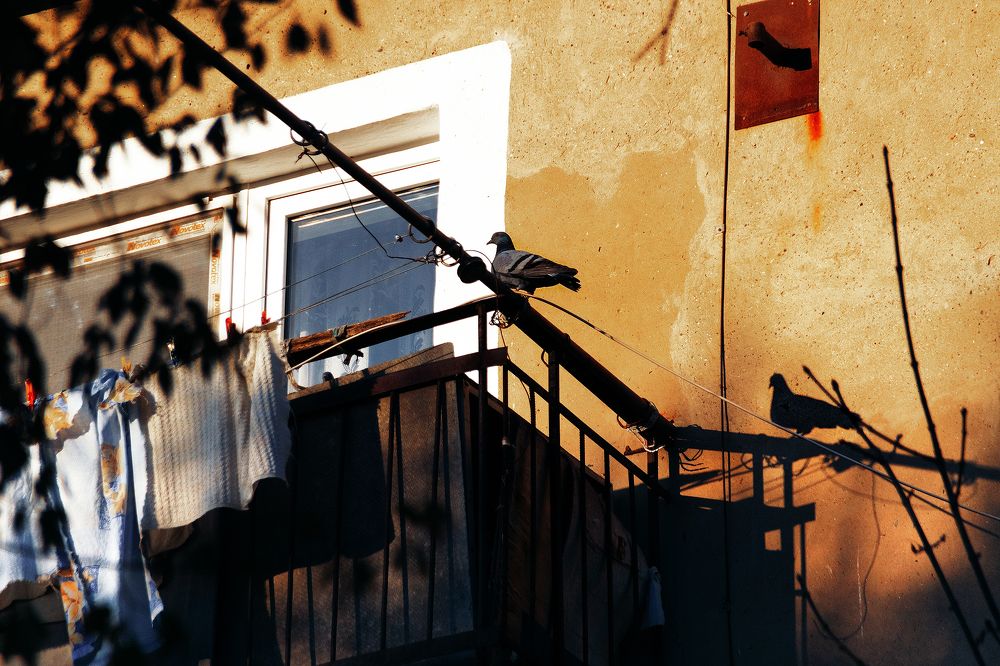 Photograph by Сергей Удовиченко