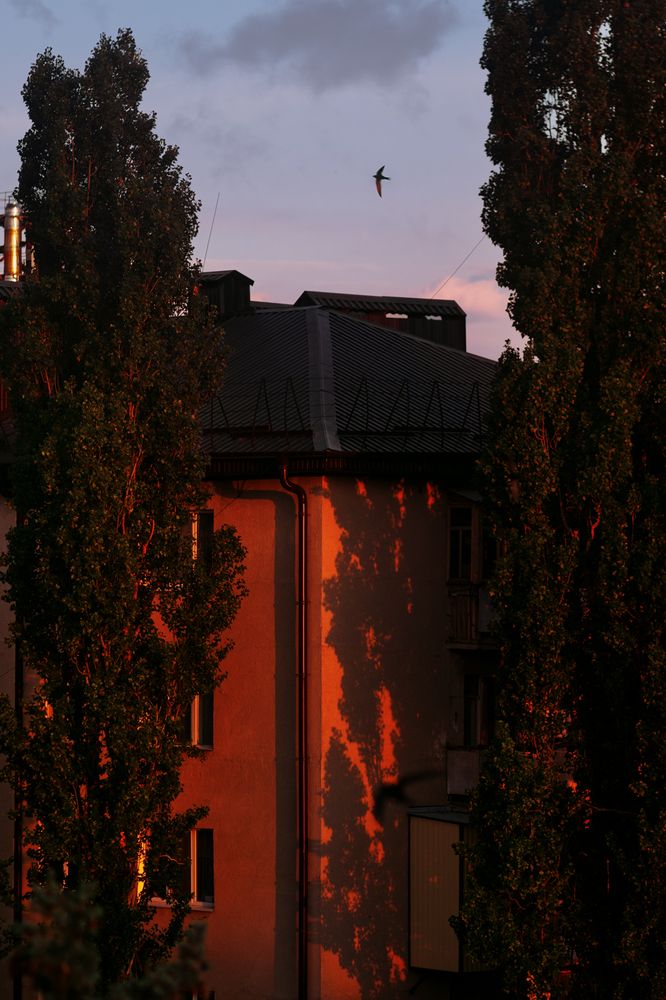 Photograph by Сергей Удовиченко